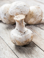 mushrooms on wooden background
