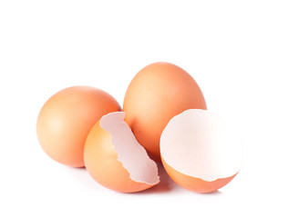 Egg and shell of an egg