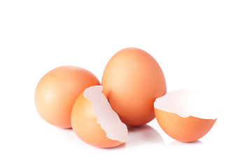 Egg and shell of an egg