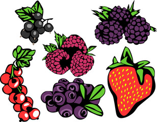 berry fruits