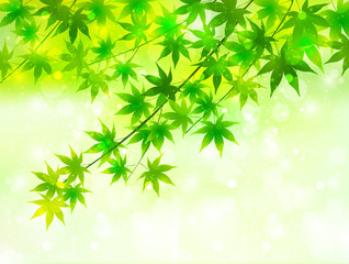 もみじ　葉　背景