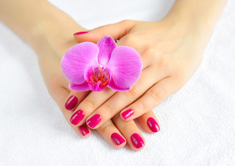 Obraz na płótnie Canvas Beautiful hands with manicure and purple orchid flower