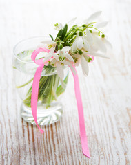 Bouquet of snowdrop flowers