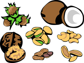 nuts - hazelnut, coconut, walnut