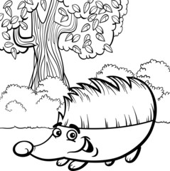 hedgehog cartoon for coloring book