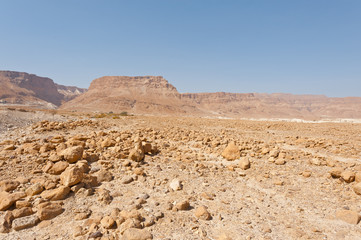 Noon in Desert