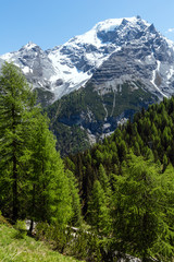 Panele Szklane  Letnia przełęcz Stelvio (Włochy)
