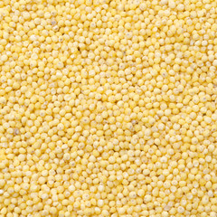 millet background