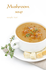 Mushroom cream soup with croutons and thyme isolated