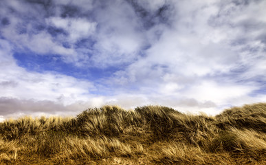 Dunes at the Danish North Sea coast on Fano