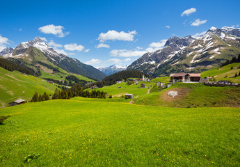 Alpine view (Vorarlberg,Austria)