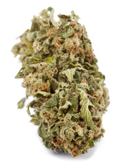 Isolated Cannabis Bud