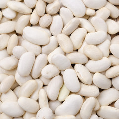 white beans background