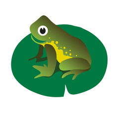 Frog vector illustration