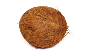 Coconut