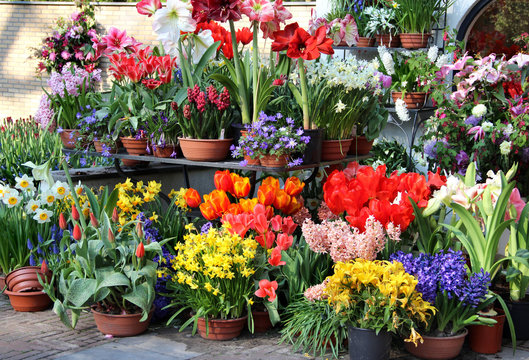Sunny terrace with a lot of flowers