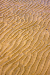 shore texture and curved line in rio de la plata