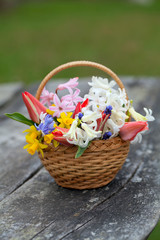 Fototapeta na wymiar spring flowers on wooden table