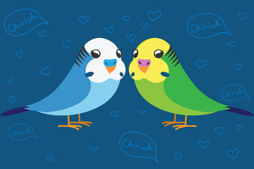 Two cute budgerigar in love