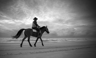 Black and White lonely horse rider