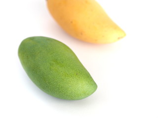 Ripe and green mango isolated on white background