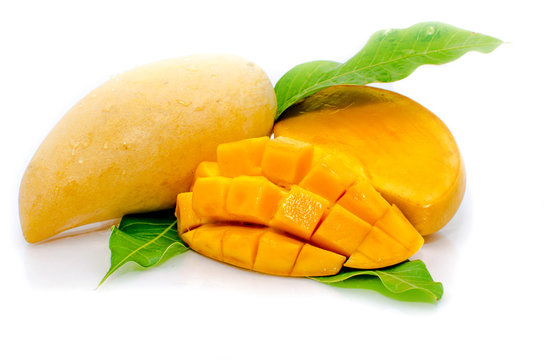 Mango fruit