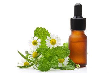 Essential oil with herbs