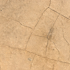 Fototapeta premium texture of dry cracked earth background .