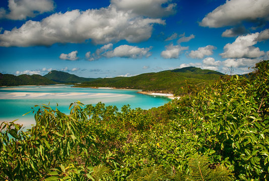 Wonderful sea and forest of Queensland. Whitehaven Beach - Austr