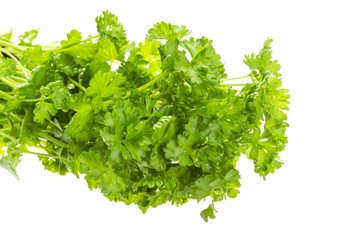 Ripe fresh Parsley