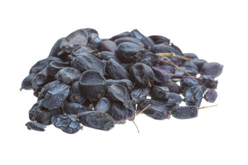 Dried barberries