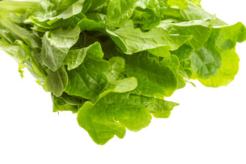 Salad leaves