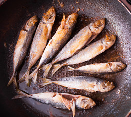 Fried fish
