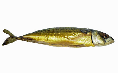 smocked mackerel