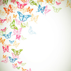 Vector Background with Colorful Butterflies