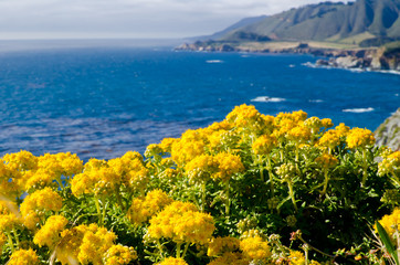 Scenic Vista on California State Route 1