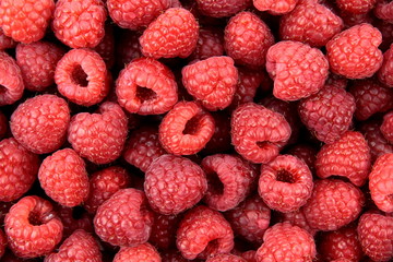 Raspberry background