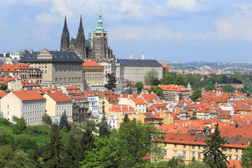 Obraz premium Spring Prague gothic Castle with green Trees, Czech Republic