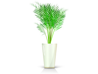 beige vase with palm