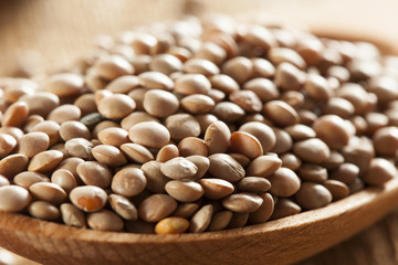 Dry Organic Brown Lentils