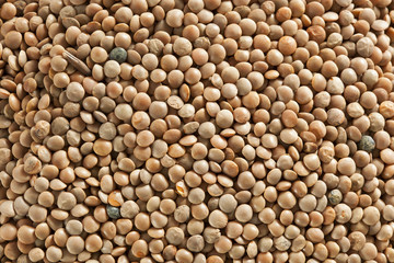 Dry Organic Brown Lentils