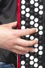 man's hand on the accordion keyboard