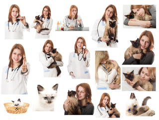 Veterinary doctor