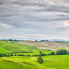 Fototapeta na wymiar Toskania, krajobraz wiejski. Użytki rolne, biały dróg i drzew. Włochy.