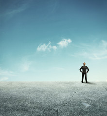 Businessman observing the desert landscape