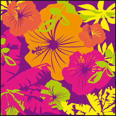 Fototapety  hibiscus,motif,fleur,papier peint,feuillage,exotique,tropical