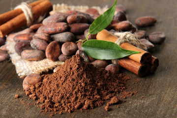 Cocoa beans, cocoa powder and spices on wooden background