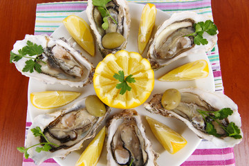 Oysters on wooden background