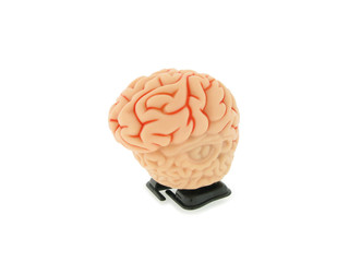 Walking Brain