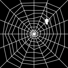 Obraz premium cobweb with spider silhouette vector